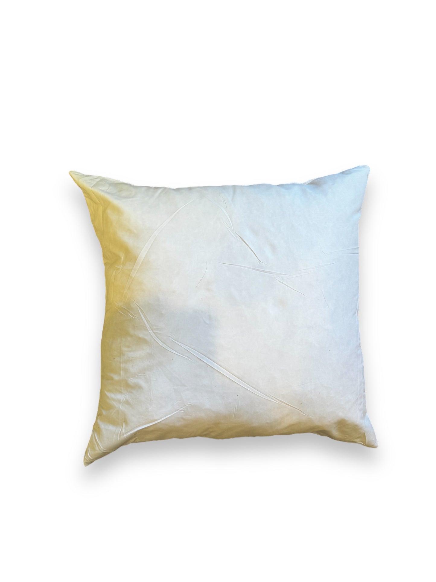Bri Bri Scalloped Edge Pillow with Insert 16x16 inch